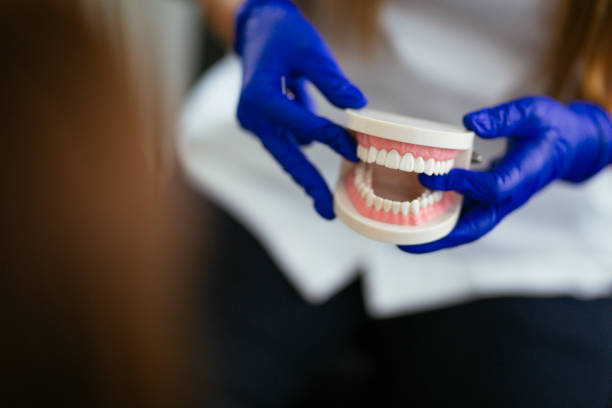 Trusted Moyock, NC Dental Services Experts